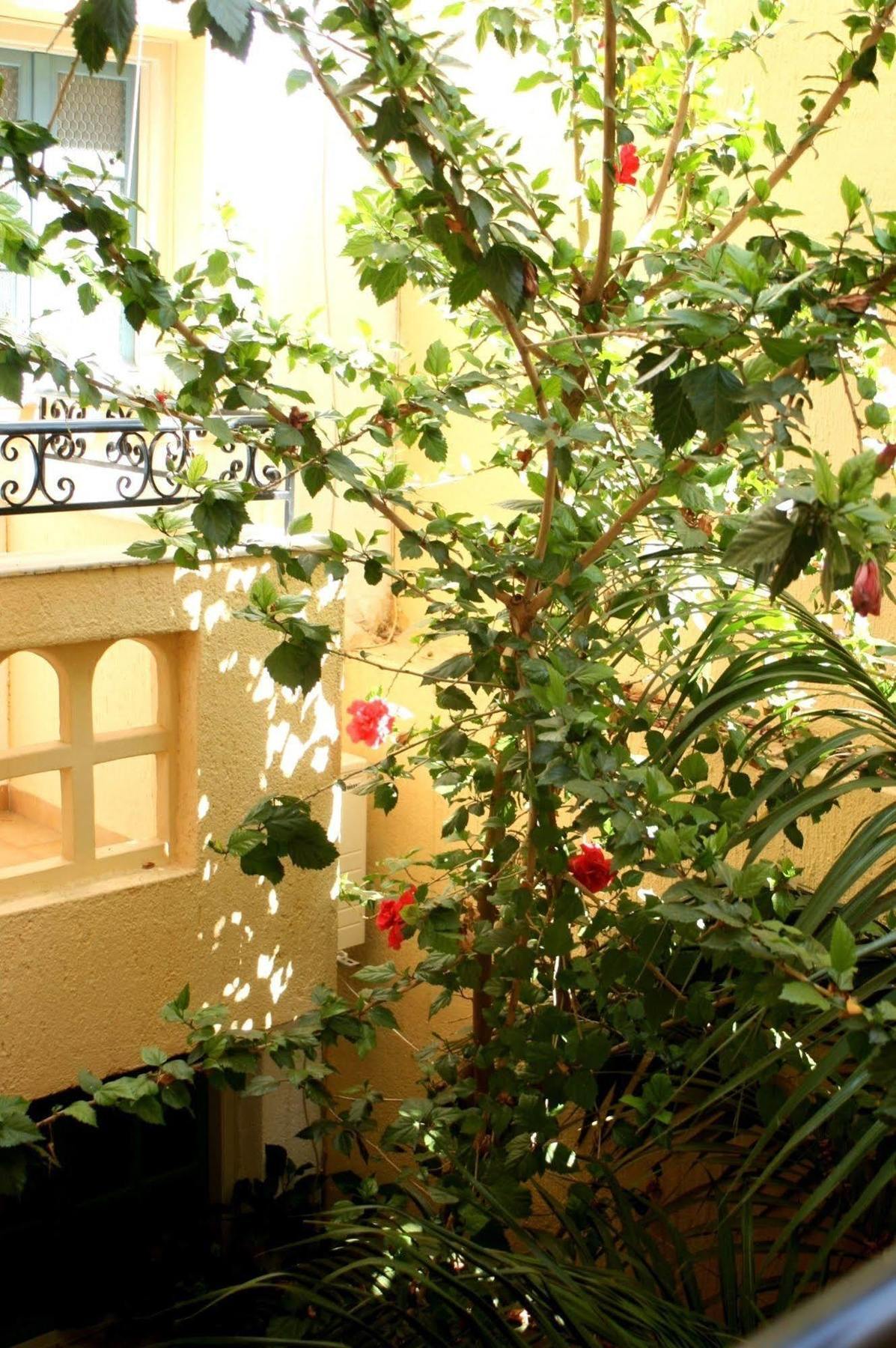 Orion Apartments Malia  Exterior photo